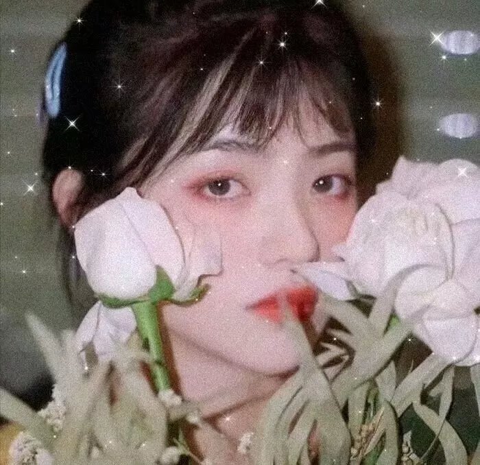 梅格雷的陷阱